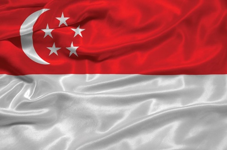 Singapore Flag